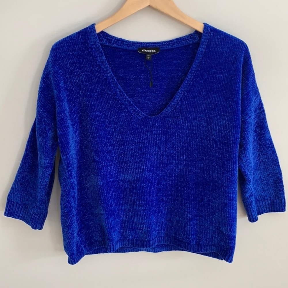Express Plush Knit Royal Blue V neck Sweater